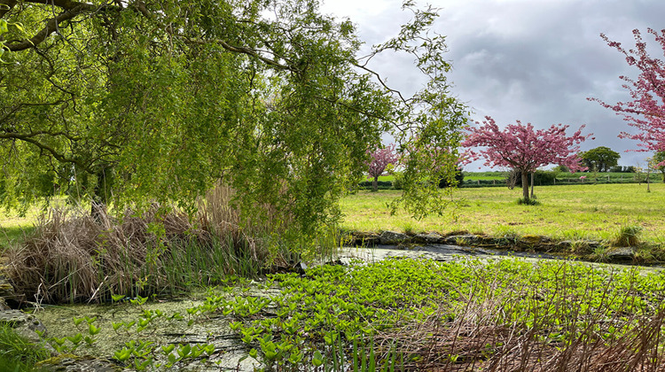 Ma-Cabane - Vente Maison CORSEUL, 390 m²