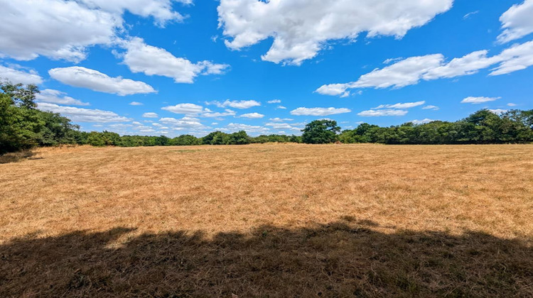 Ma-Cabane - Vente Maison COUERON, 253 m²