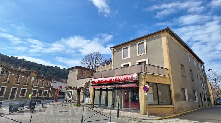 Ma-Cabane - Vente Maison COUIZA, 295 m²