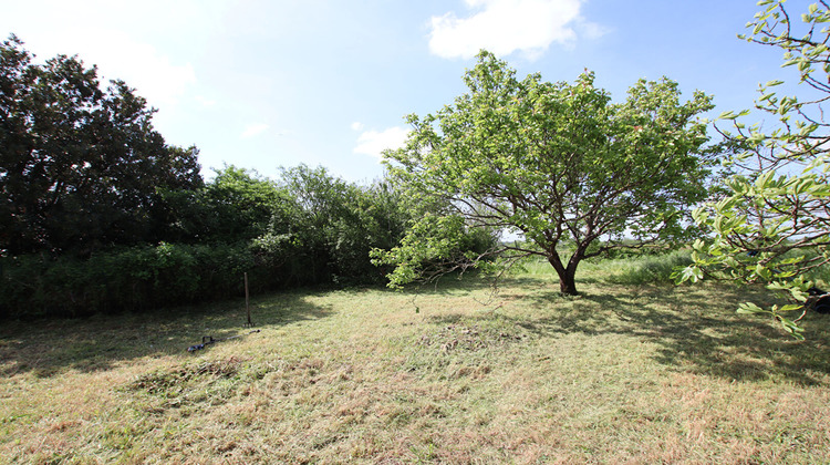 Ma-Cabane - Vente Maison COULONGES-SUR-L'AUTIZE, 186 m²