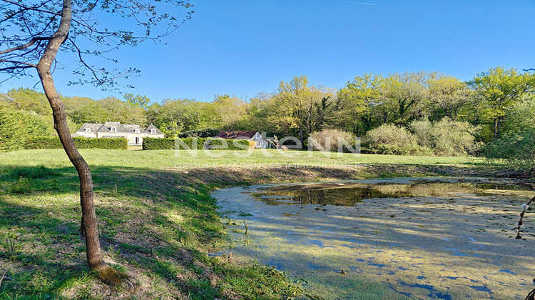 Ma-Cabane - Vente Maison COUR-CHEVERNY, 309 m²