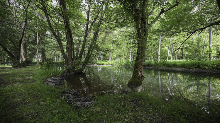 Ma-Cabane - Vente Maison Courcelles, 185 m²