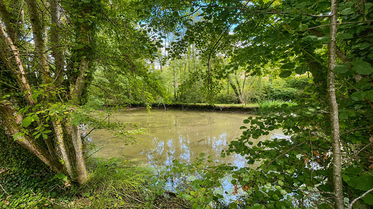 Ma-Cabane - Vente Maison COURMANGOUX, 190 m²