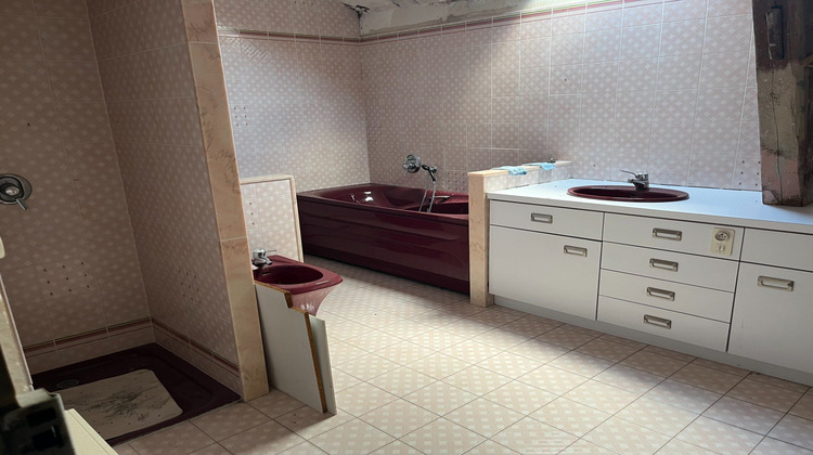 Ma-Cabane - Vente Maison Cours-la-Ville, 375 m²