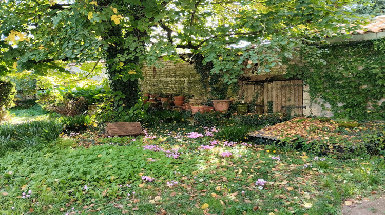 Ma-Cabane - Vente Maison Couture-d'Argenson, 308 m²