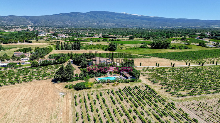Ma-Cabane - Vente Maison Crillon-le-Brave, 350 m²