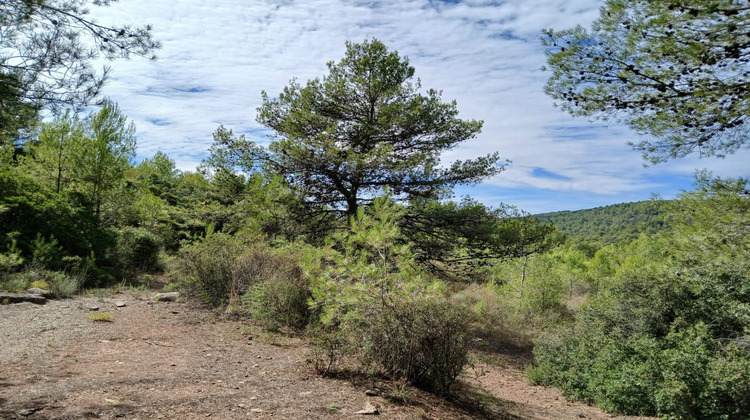 Ma-Cabane - Vente Maison Cruzy, 148 m²