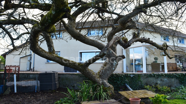 Ma-Cabane - Vente Maison CUFFY, 262 m²