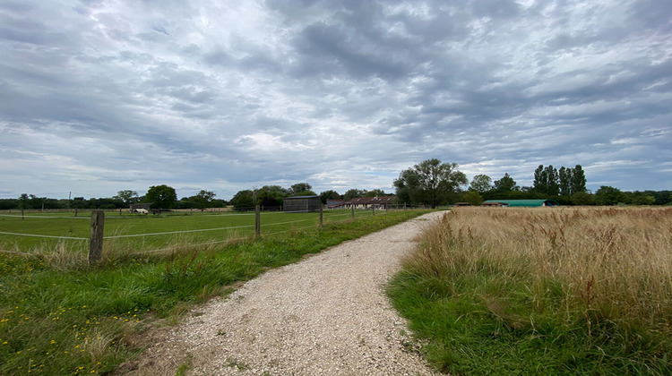 Ma-Cabane - Vente Maison CUISEAUX, 372 m²