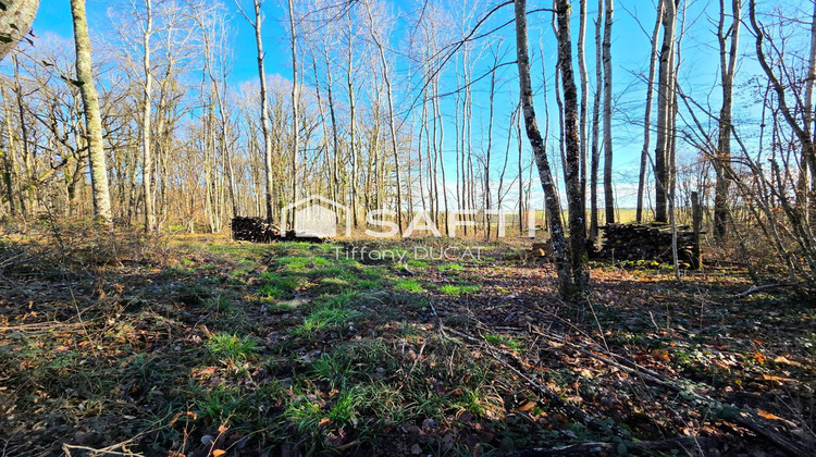 Ma-Cabane - Vente Maison Cussangy, 130 m²