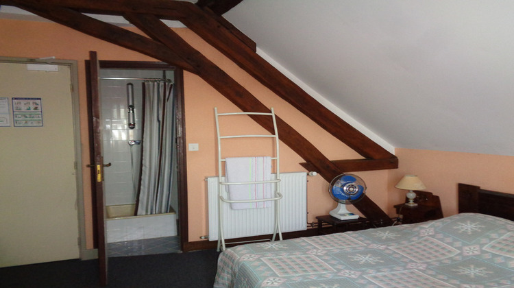 Ma-Cabane - Vente Maison DAMMARIE EN PUISAYE, 675 m²