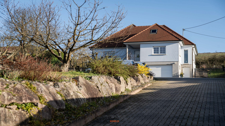 Ma-Cabane - Vente Maison Dangolsheim, 241 m²