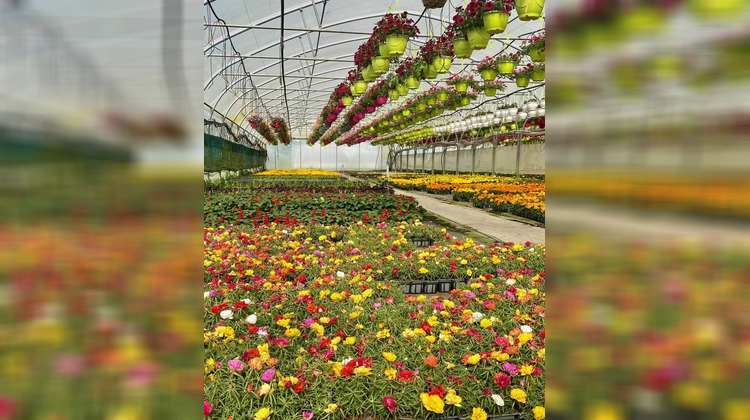 Ma-Cabane - Vente Maison Dausse, 80 m²