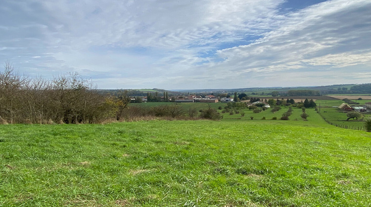 Ma-Cabane - Vente Maison DELME, 300 m²