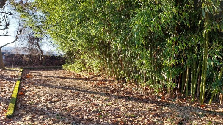 Ma-Cabane - Vente Maison DEMANGEVELLE, 320 m²