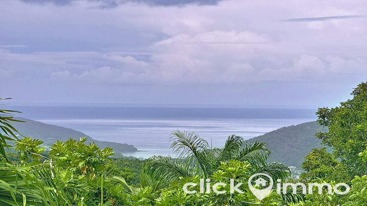 Ma-Cabane - Vente Maison Deshaies, 209 m²