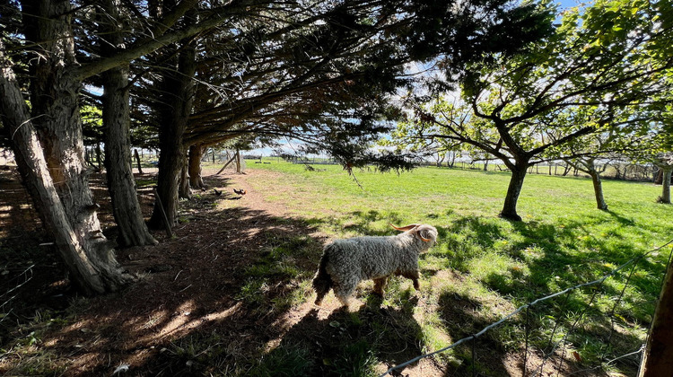 Ma-Cabane - Vente Maison DOLMAYRAC, 300 m²