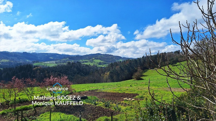 Ma-Cabane - Vente Maison DOMAIZE, 180 m²