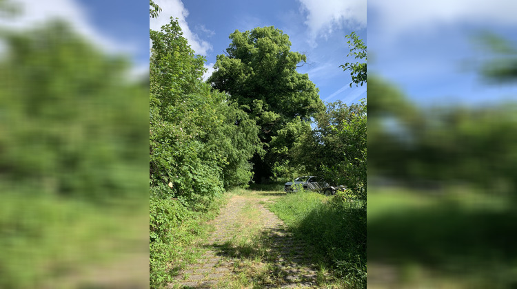 Ma-Cabane - Vente Maison DOMMARTEMONT, 160 m²