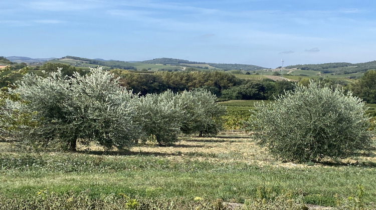 Ma-Cabane - Vente Maison Donazac, 400 m²