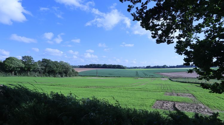 Ma-Cabane - Vente Maison Doudeville, 120 m²