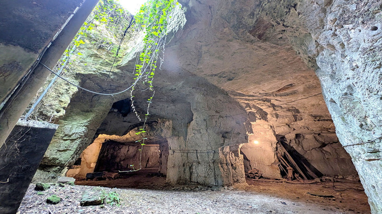 Ma-Cabane - Vente Maison DOUE-LA-FONTAINE, 67 m²