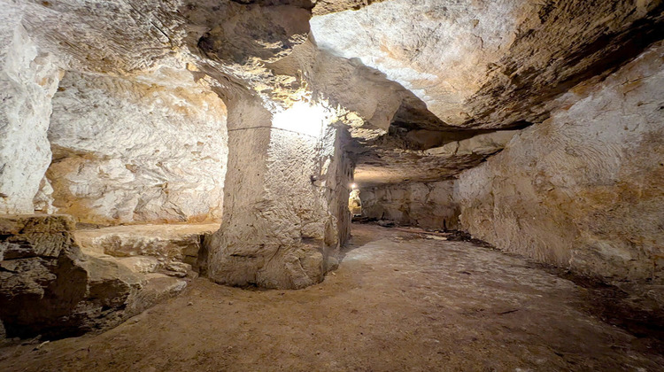 Ma-Cabane - Vente Maison DOUE-LA-FONTAINE, 67 m²