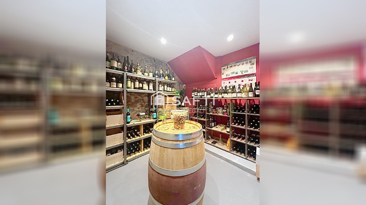 Ma-Cabane - Vente Maison Doulezon, 251 m²