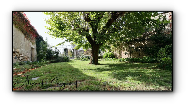 Ma-Cabane - Vente Maison DOURGNE, 307 m²