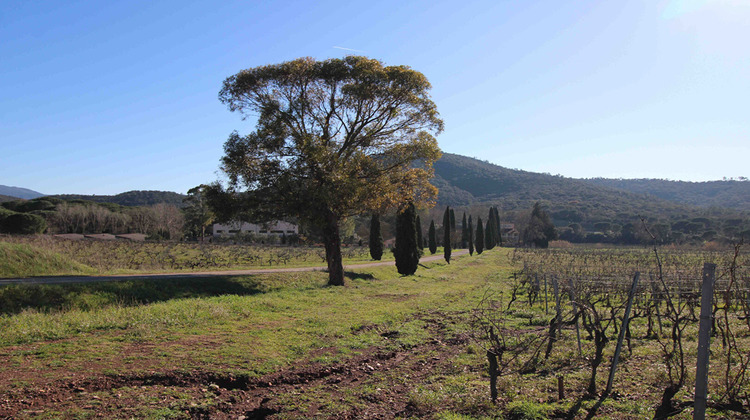 Ma-Cabane - Vente Maison DRAGUIGNAN, 2000 m²