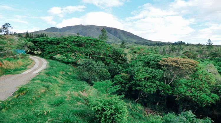 Ma-Cabane - Vente Maison Dumbéa, 86 m²
