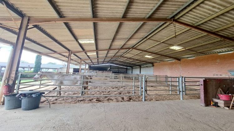 Ma-Cabane - Vente Maison Eauze, 330 m²