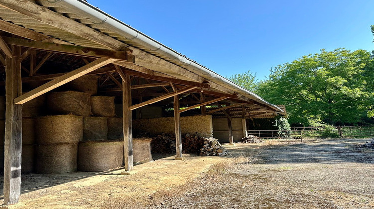 Ma-Cabane - Vente Maison EAUZE, 320 m²