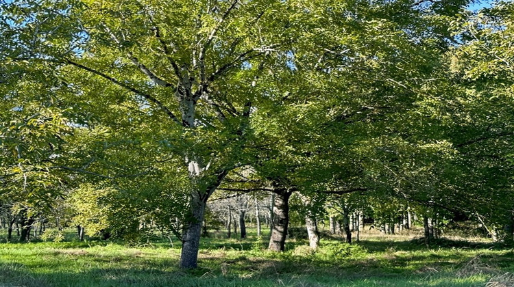 Ma-Cabane - Vente Maison EAUZE, 320 m²