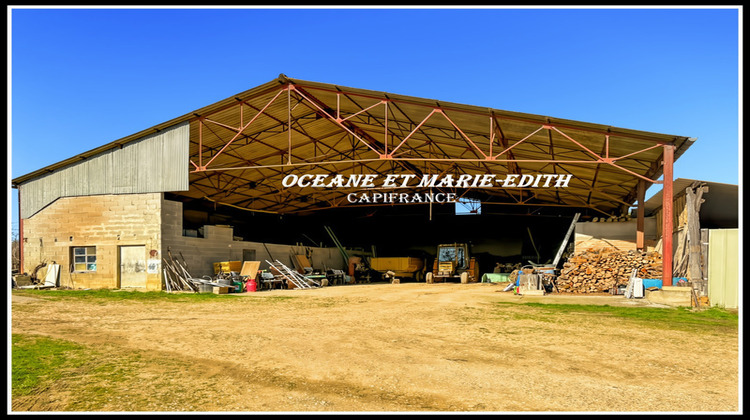 Ma-Cabane - Vente Maison EAUZE, 222 m²