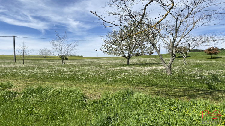 Ma-Cabane - Vente Maison Engayrac, 239 m²