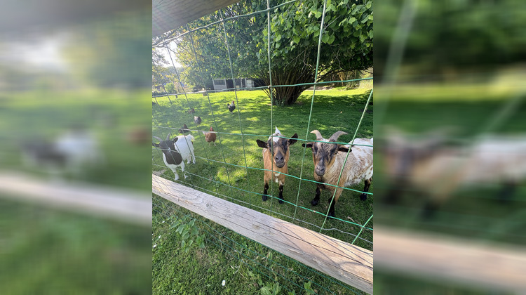 Ma-Cabane - Vente Maison Envronville, 80 m²