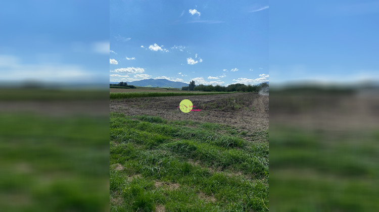 Ma-Cabane - Vente Maison Epfig, 96 m²