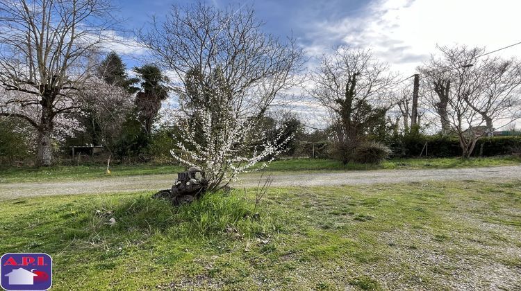 Ma-Cabane - Vente Maison ESCOSSE, 274 m²