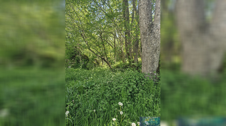 Ma-Cabane - Vente Maison Estaing, 180 m²