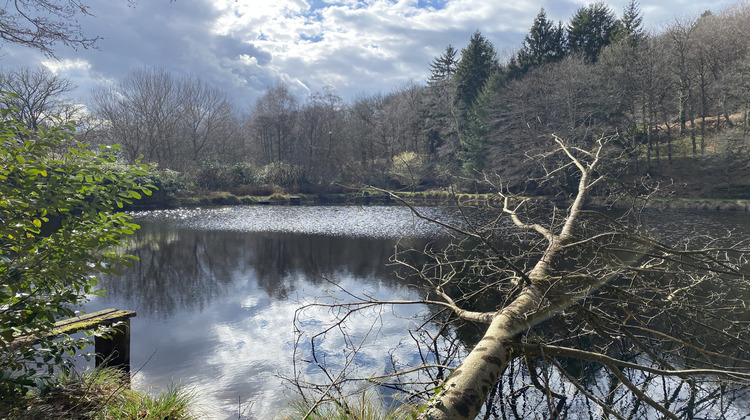 Ma-Cabane - Vente Maison Eymoutiers, 210 m²