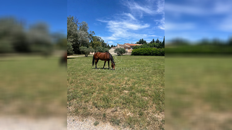 Ma-Cabane - Vente Maison EYRAGUES, 510 m²