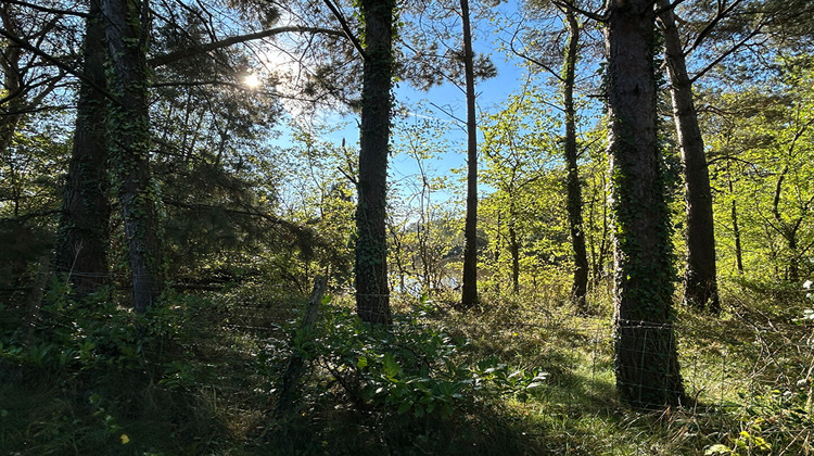 Ma-Cabane - Vente Maison FALLERON, 166 m²