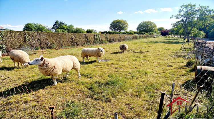 Ma-Cabane - Vente Maison Fayl-Billot, 91 m²