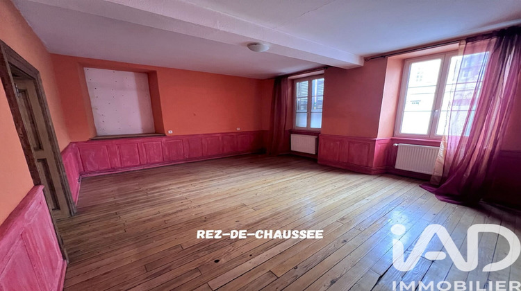 Ma-Cabane - Vente Maison Fénétrange, 400 m²