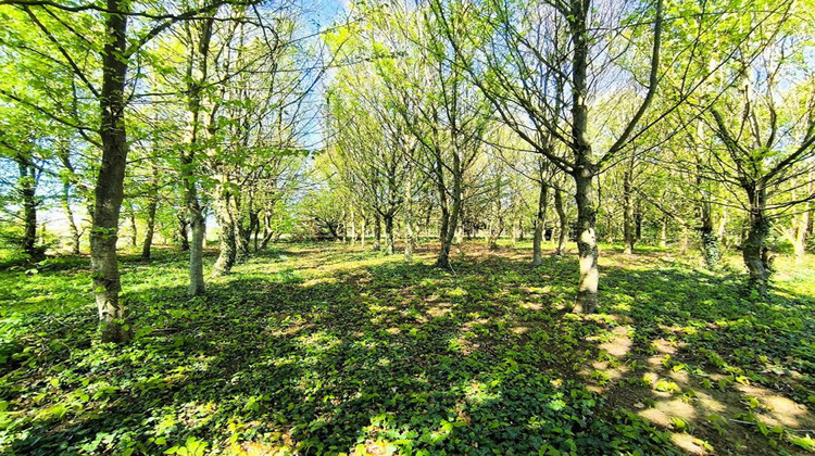 Ma-Cabane - Vente Maison FERRIERES EN BRAY, 95 m²