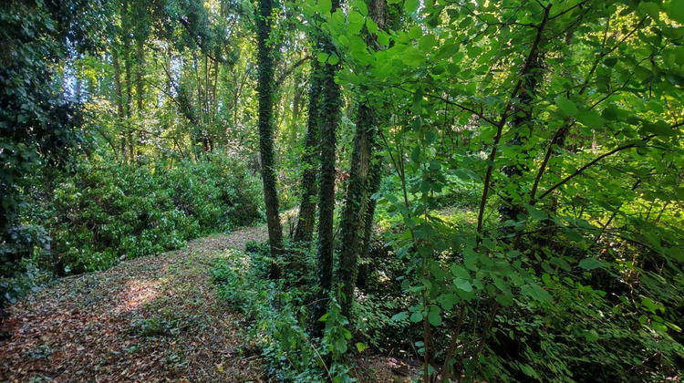 Ma-Cabane - Vente Maison Festigny, 348 m²