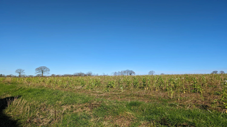 Ma-Cabane - Vente Maison Fleurigné, 130 m²