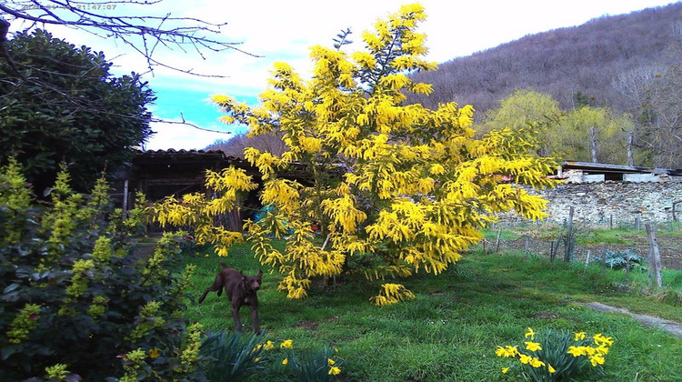 Ma-Cabane - Vente Maison FOIX, 122 m²