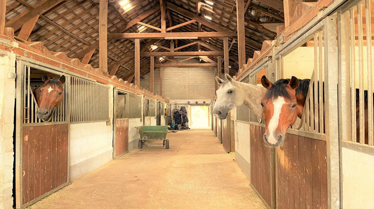 Ma-Cabane - Vente Maison Fontainebleau, 240 m²